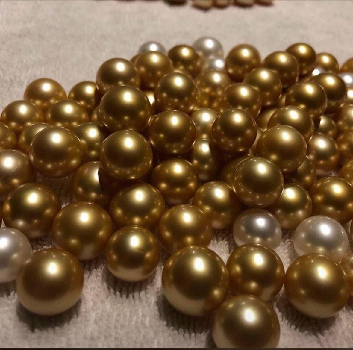 Golden South Sea Pearl
