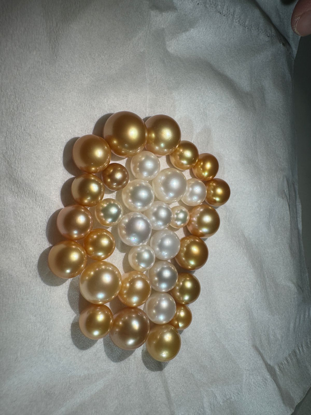 Golden South Sea Pearl