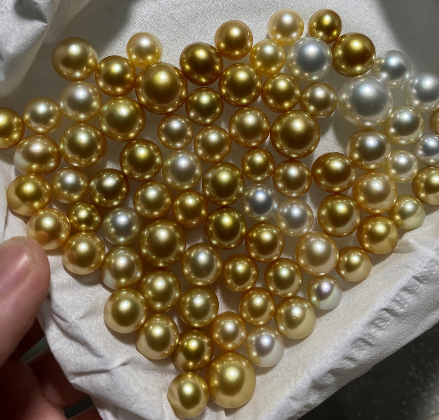 Golden South Sea Pearl