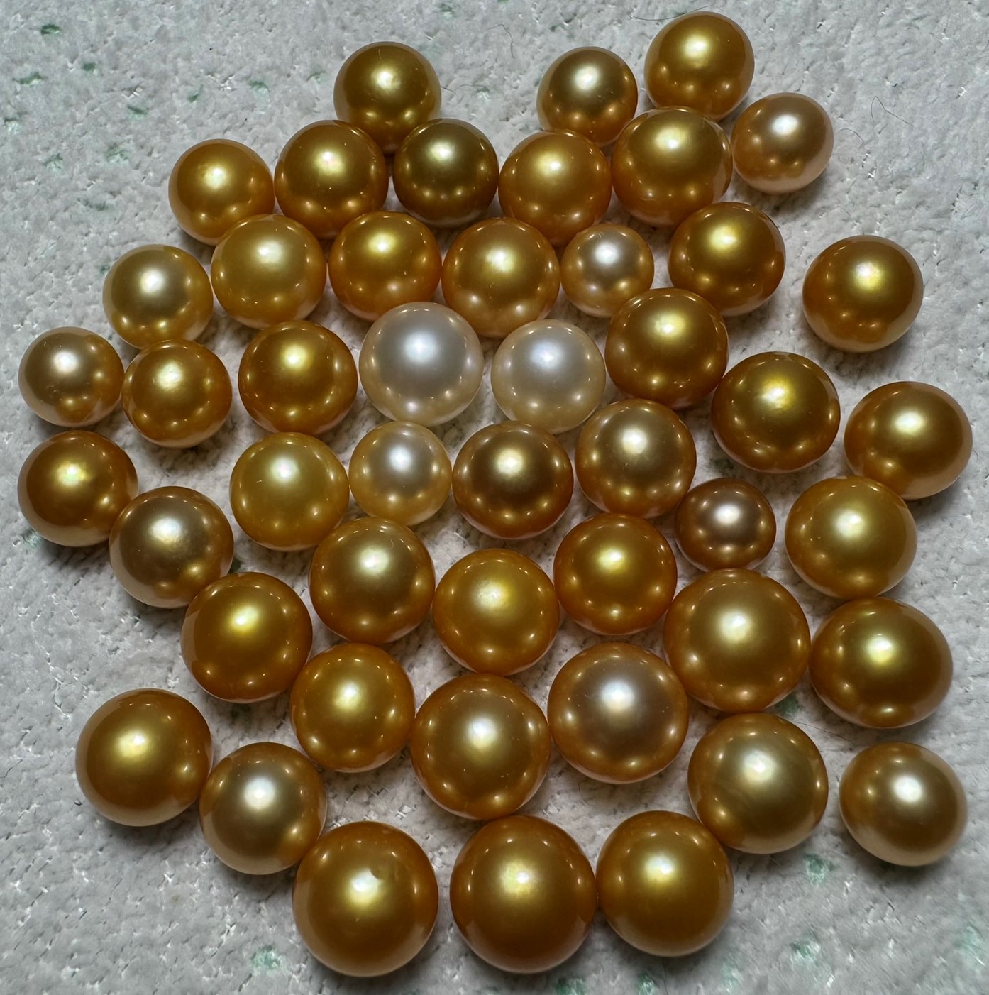 Golden South Sea Pearl
