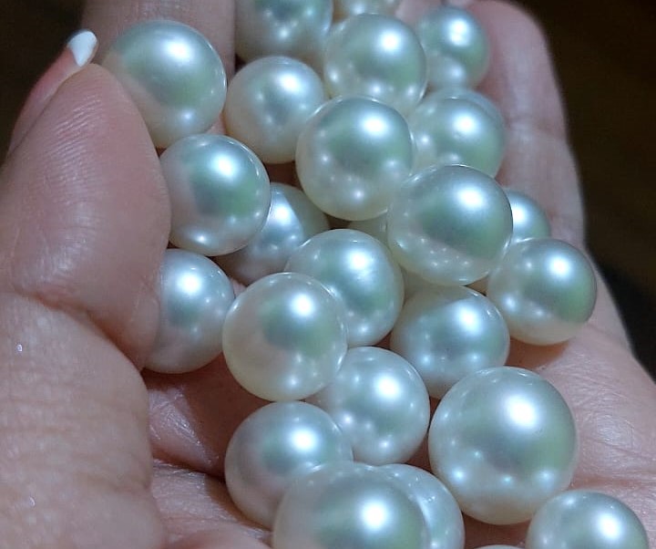 White South Sea Pearl